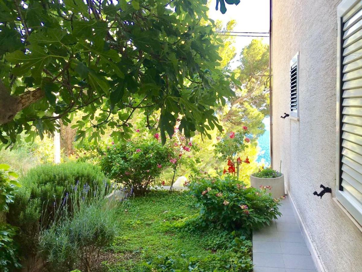 Apartment Martinovic Marusici  外观 照片